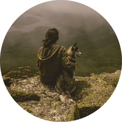 Turkish Hospital Qatar