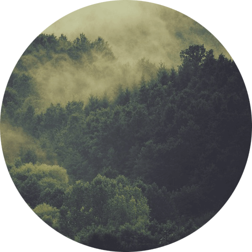 Turkish Hospital Qatar