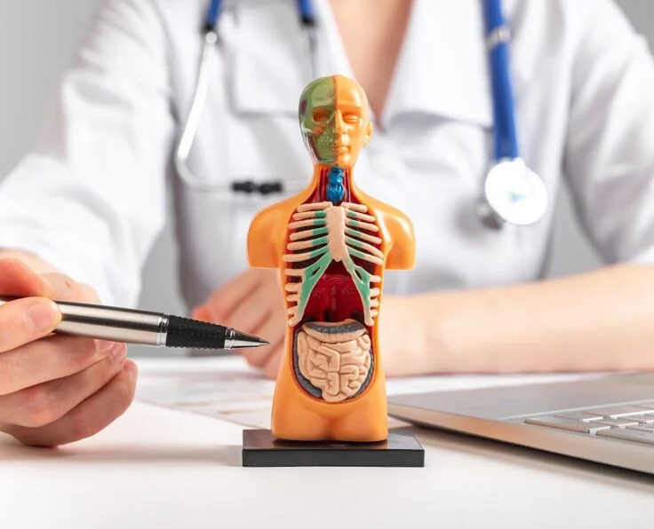 Internal Medicine1